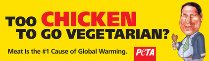 Chicken Peta Al Gore