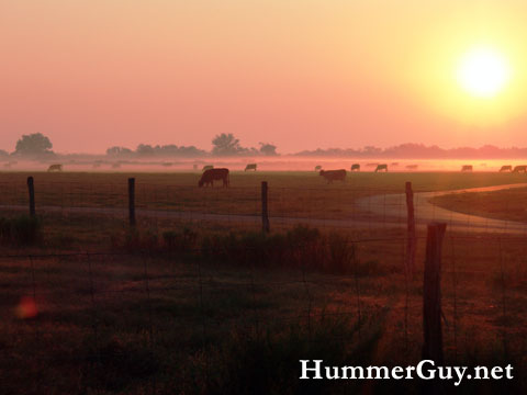 Tonkaway Ranch Sunrise Pasture Cows