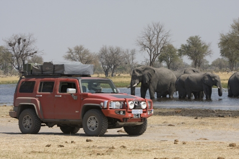 HUMMER H3 African Elephants