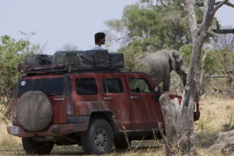 HUMMER H3 Africa Elephant
