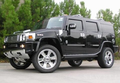 2009 HUMMER H2 Custom Strut